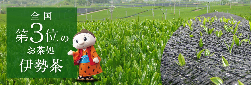 全国第3位のお茶処　伊勢茶