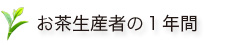 お茶生産者の一年