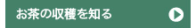 お茶の収穫を知る