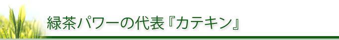 緑茶パワーの代表 『カテキン』